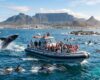 whale watching